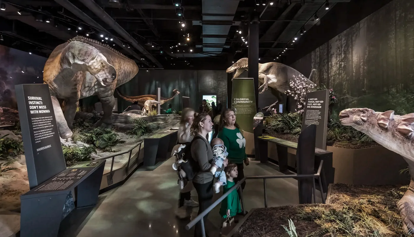 Immersive physical galleries