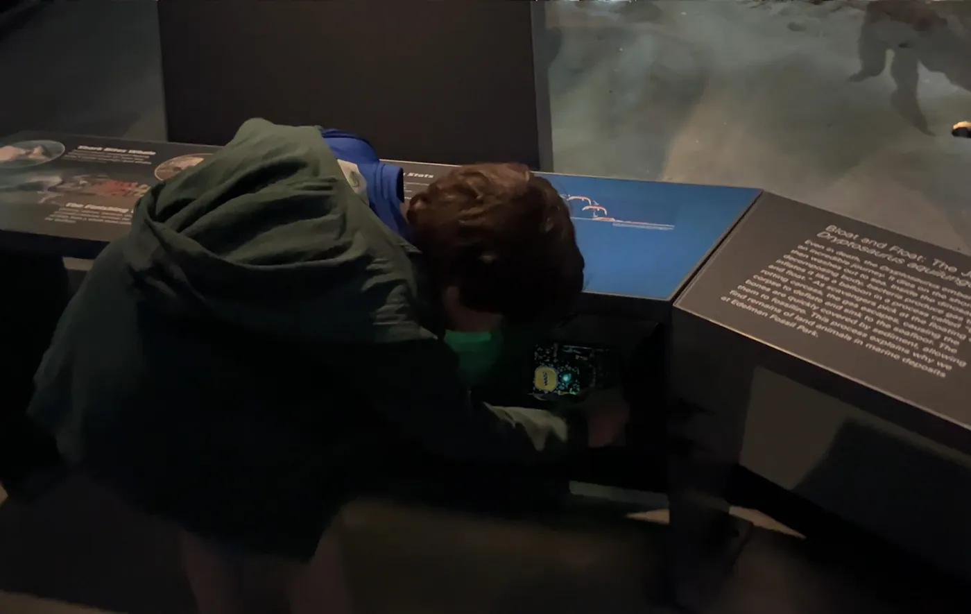 Playing the fossil hunt game: finding fossils hidden in the galleries