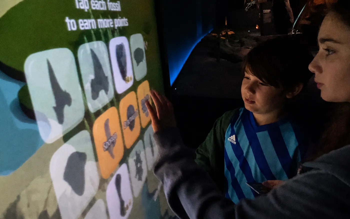 Playing the fossil hunt game: learning to identify your found fossils
